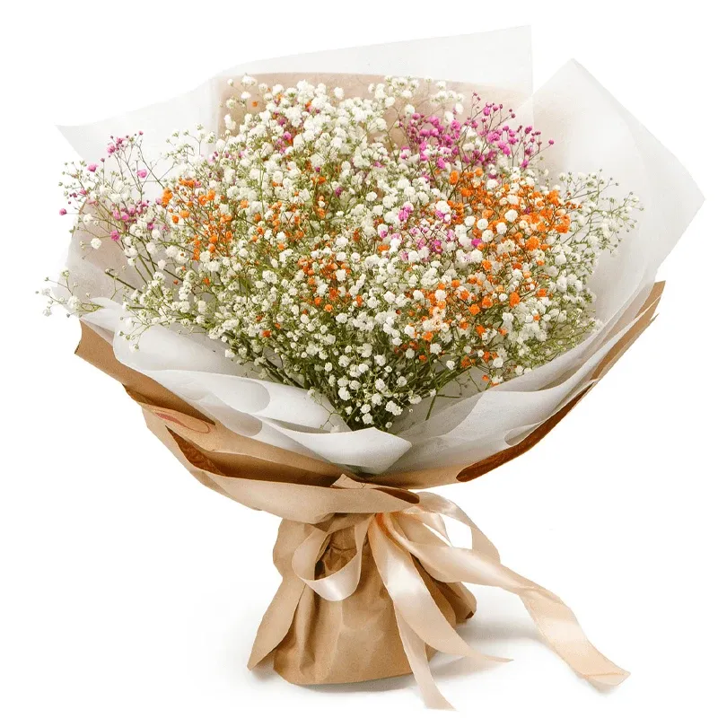 Сокол доставка цветов вологодская область яндекс доставка цветы москва
